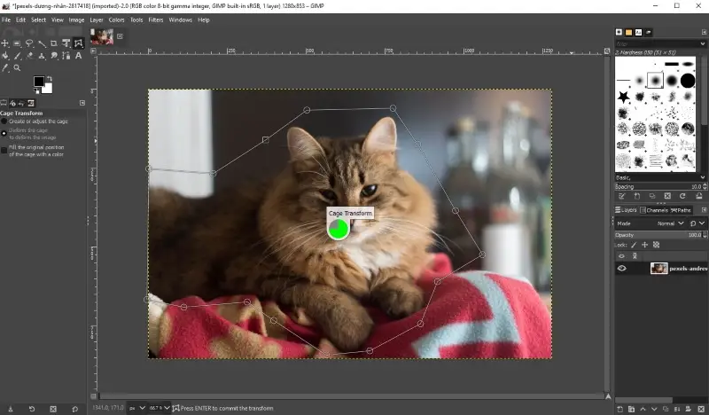 Best free photo editor - GIMP Best free photo editor - GIMP