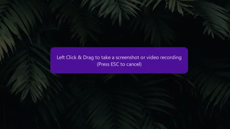 ScreenRec - video recording ScreenRec - video recording